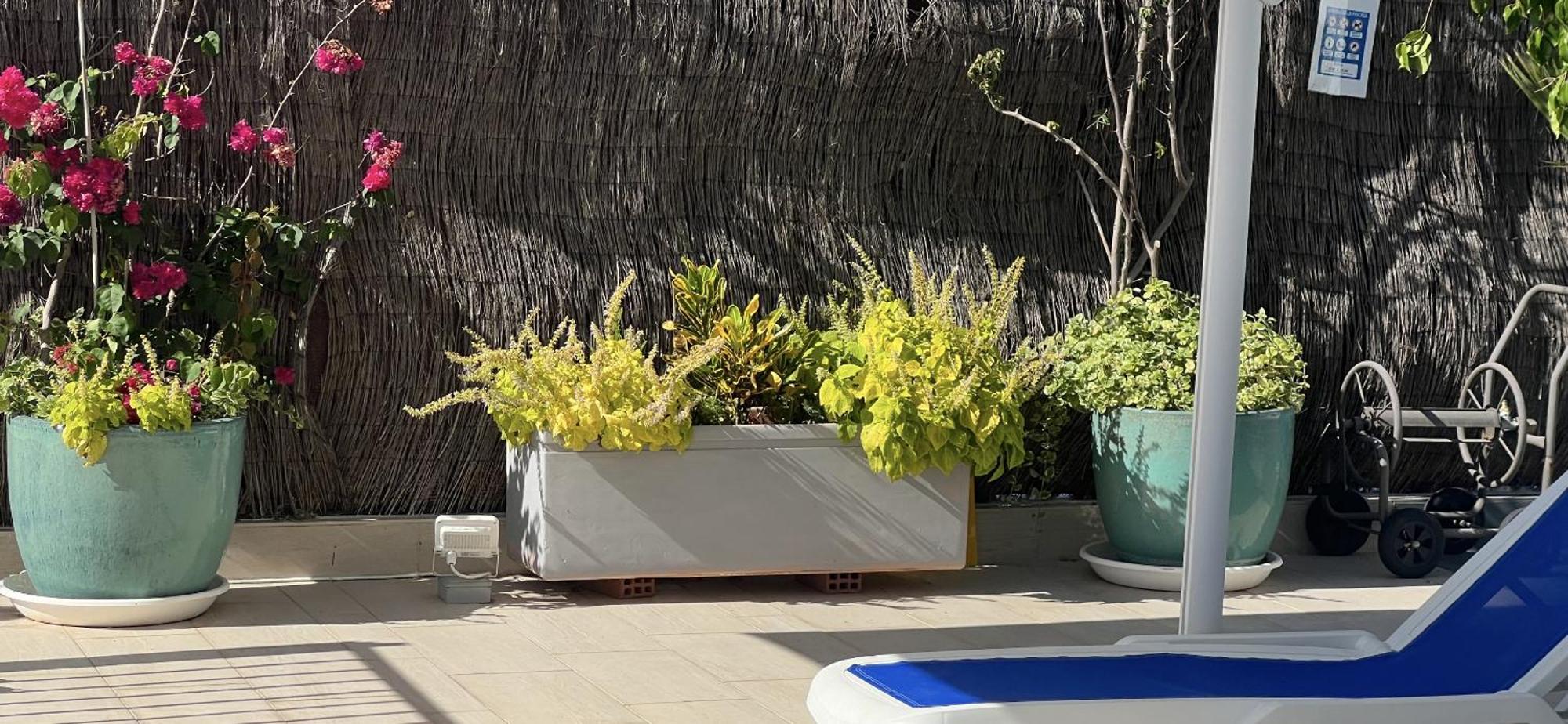 Ancla Real Apartamentos Loft El Puerto de Santa María Eksteriør billede