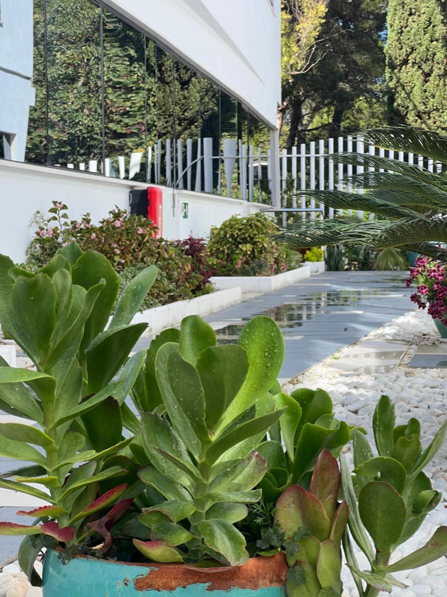 Ancla Real Apartamentos Loft El Puerto de Santa María Eksteriør billede