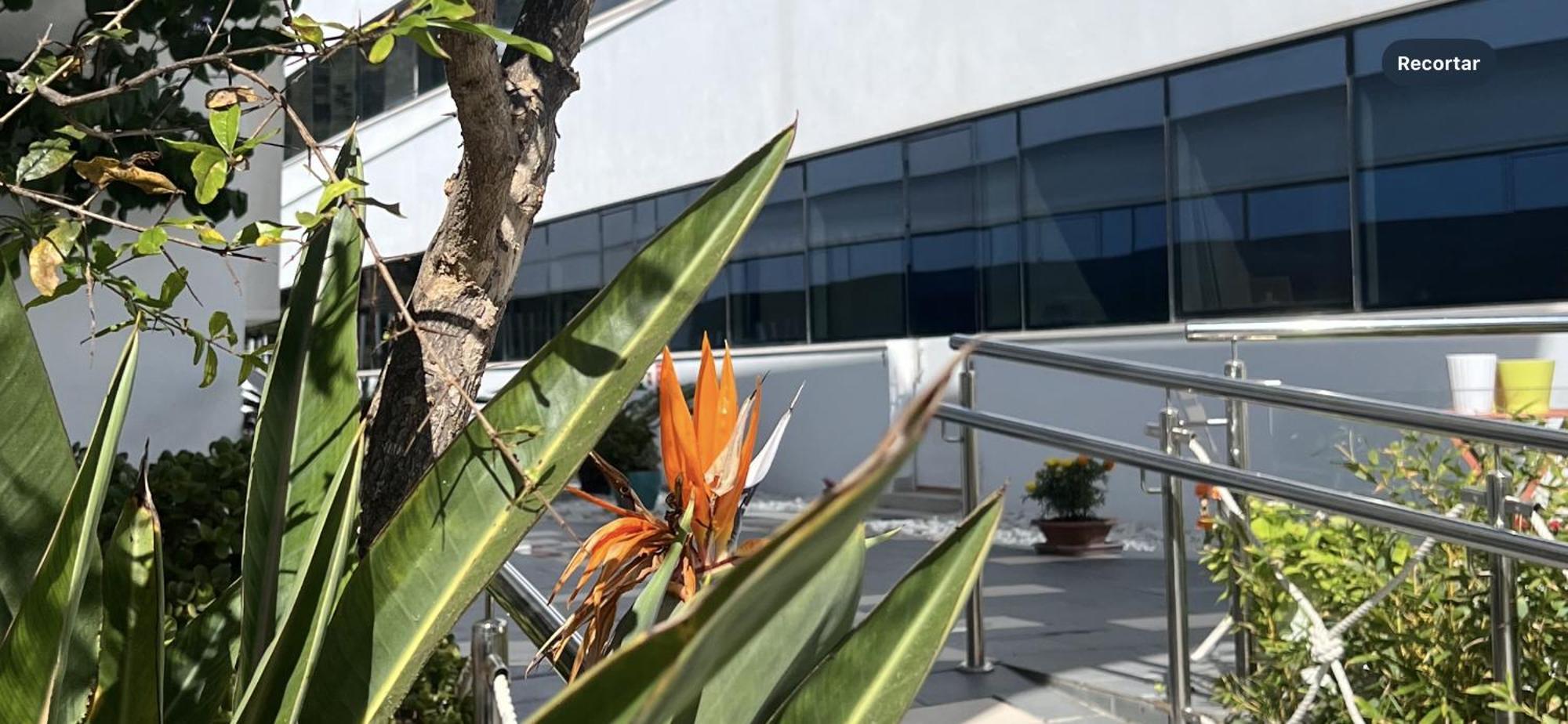 Ancla Real Apartamentos Loft El Puerto de Santa María Eksteriør billede