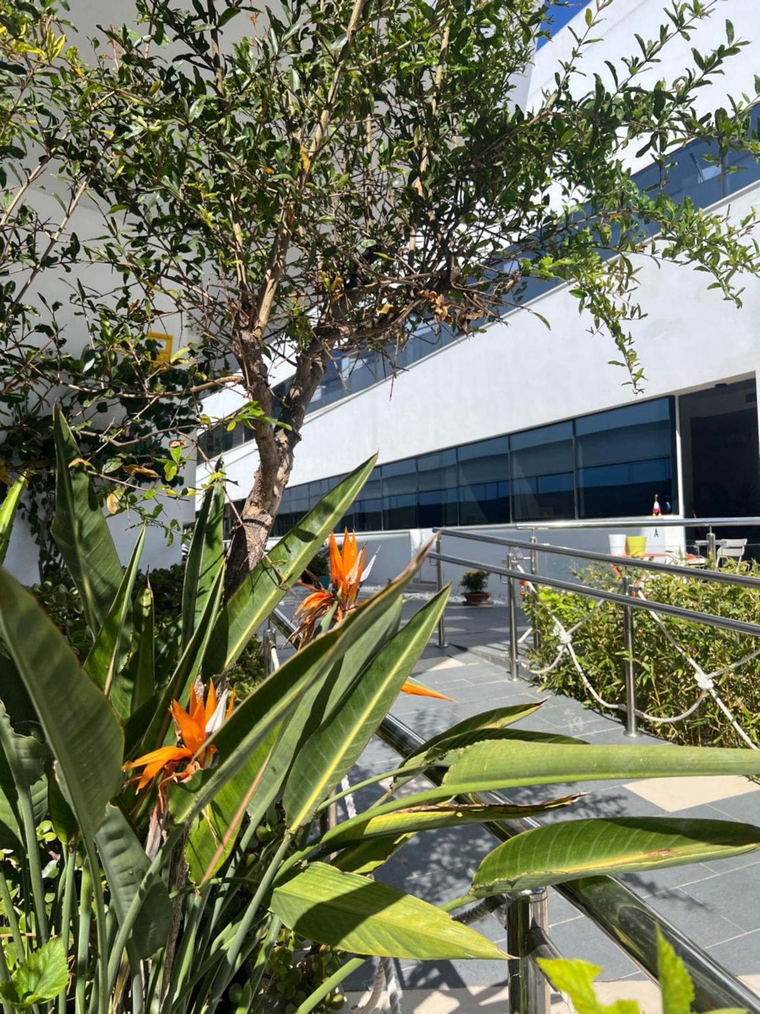 Ancla Real Apartamentos Loft El Puerto de Santa María Eksteriør billede