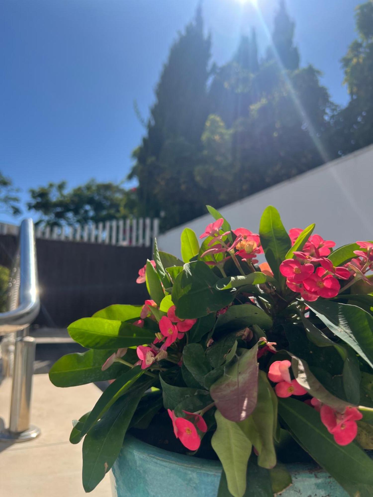 Ancla Real Apartamentos Loft El Puerto de Santa María Eksteriør billede